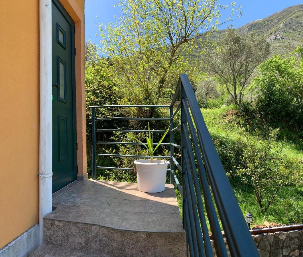 Apartman Barbara Cattaro Esterno foto
